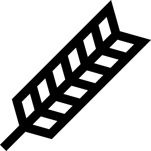 trigo Basic Straight Lineal Ícone