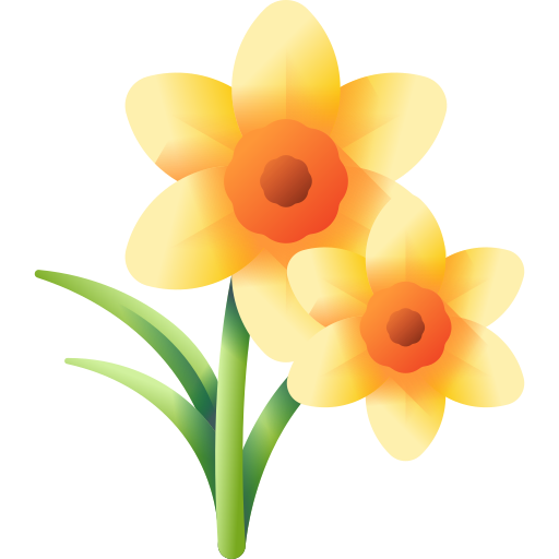 Daffodil 3D Color icon