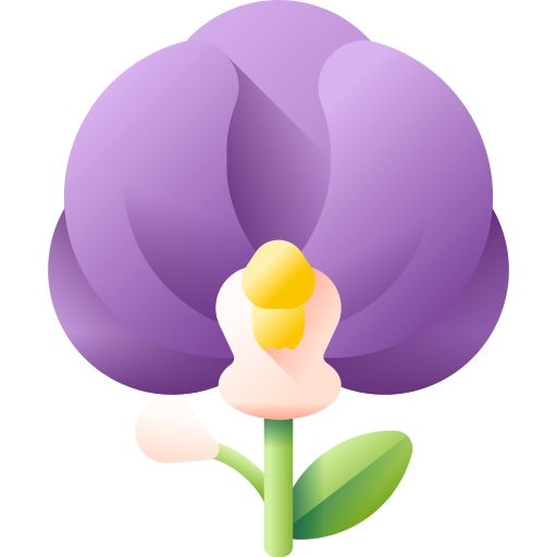 orchidee 3D Color icon