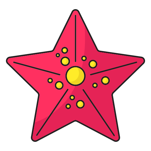 seestern Generic Outline Color icon
