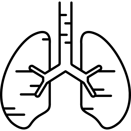 polmoni umani Hand Drawn Black icona