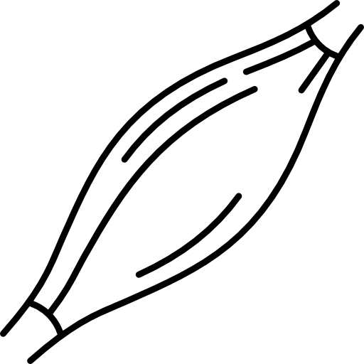 músculo humano Hand Drawn Black Ícone
