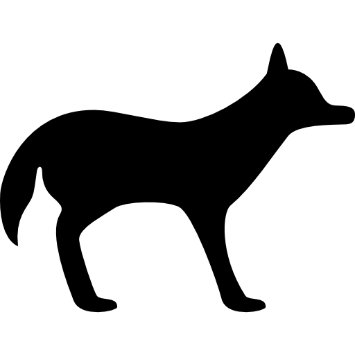 coyote rivolto a destra  icona