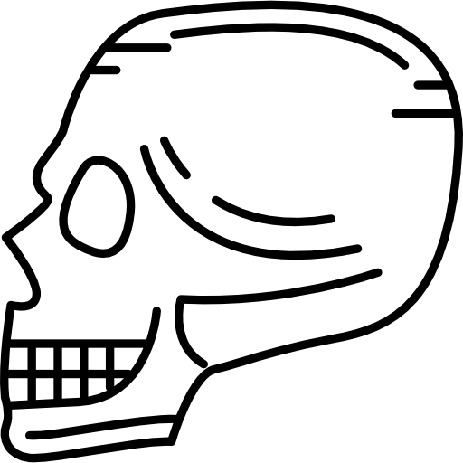 Skull Side View Hand Drawn Black icon