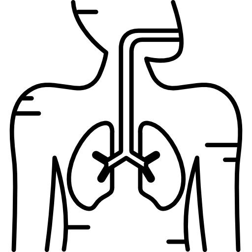 Respiratory System Hand Drawn Black icon