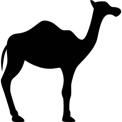 Dromedary Facing Right  icon