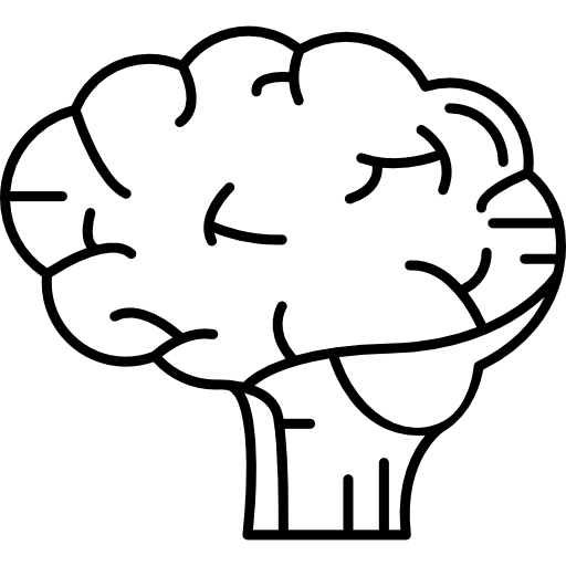cérebro humano Hand Drawn Black Ícone