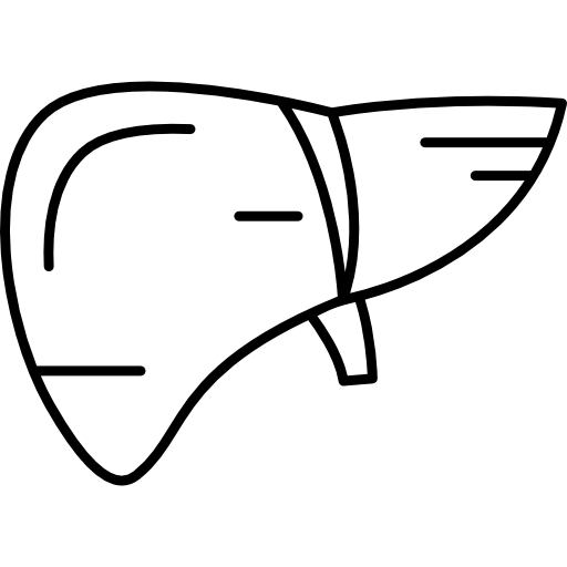 hígado humano Hand Drawn Black icono