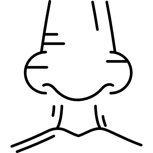 Human Nostril Hand Drawn Black icon