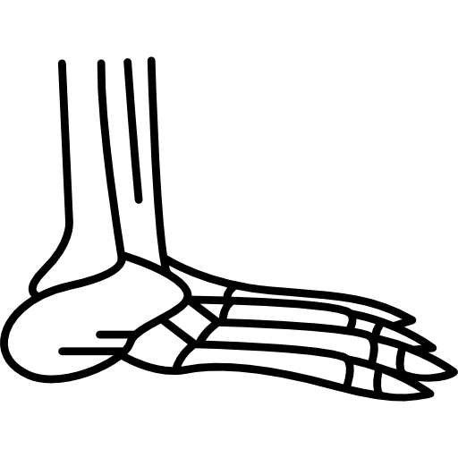 Foot Bones Hand Drawn Black icon