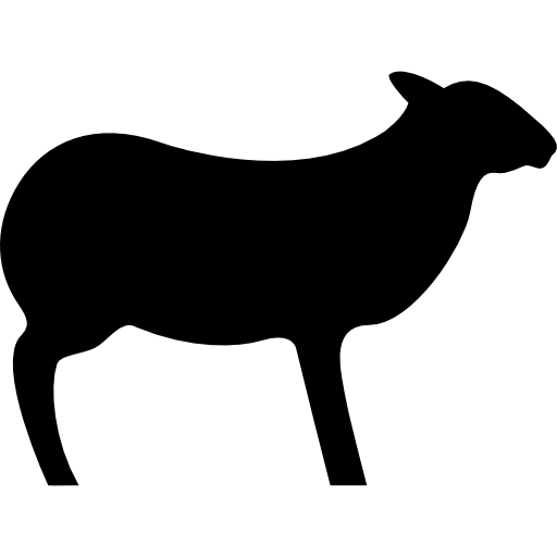 owce patrząc w prawo  ikona