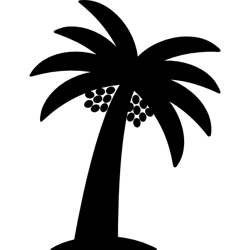 palmboom met datum  icoon