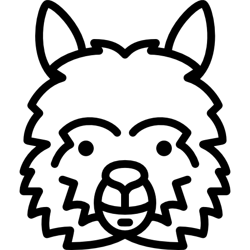 Lama Head Special Lineal icon