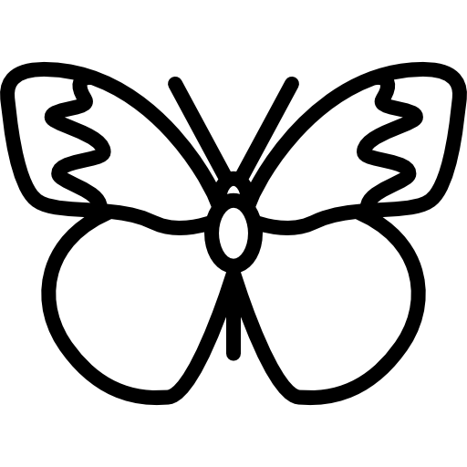 farfalla con grandi ali Special Lineal icona