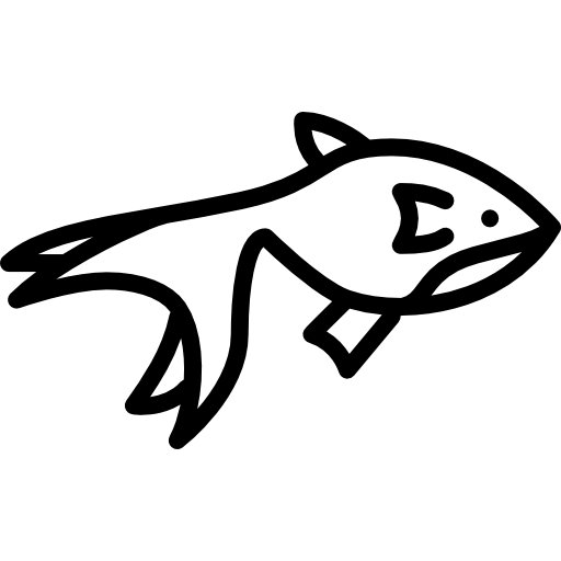 Золотая рыбка Special Lineal иконка
