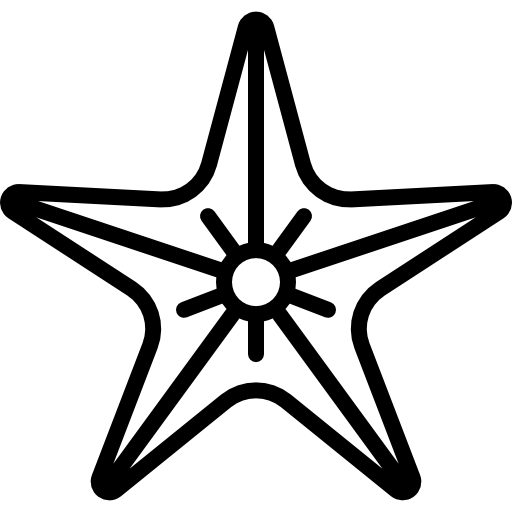 estrella de mar grande Special Lineal icono