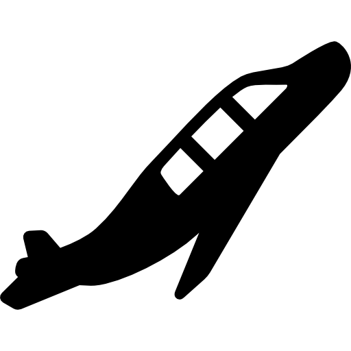 Plane Taking Off  icon