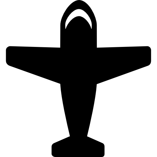 aereo con grandi ali  icona