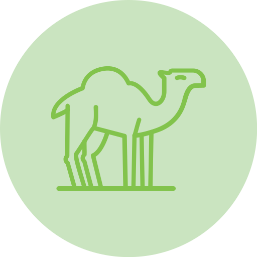 Camel Generic Flat icon