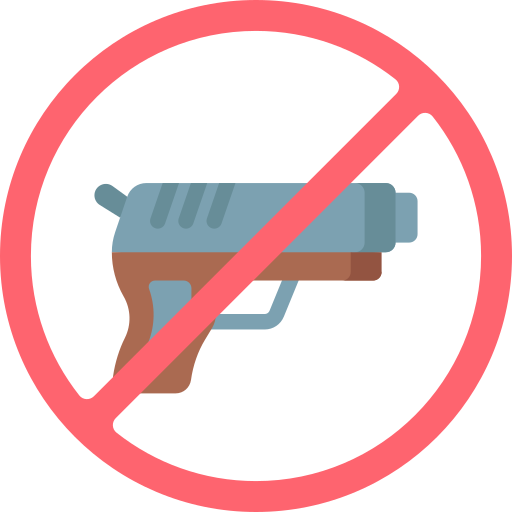 pistola Special Flat icono