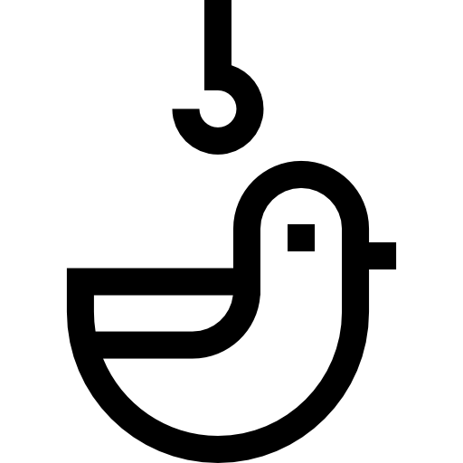anatra Basic Straight Lineal icona
