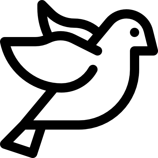 paloma Basic Rounded Lineal icono