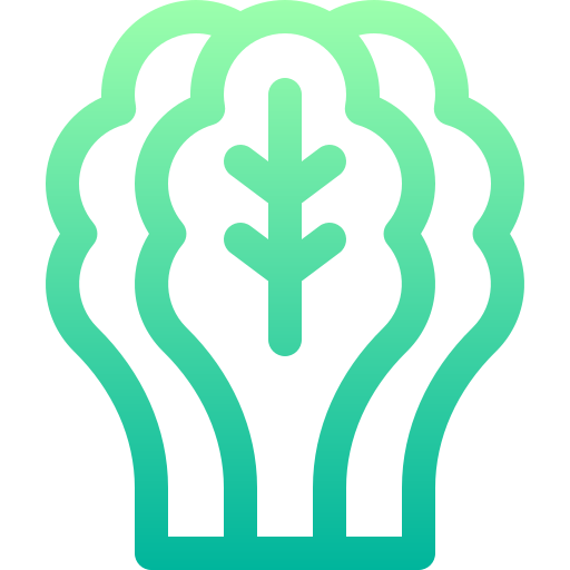 espinaca Basic Gradient Lineal color icono