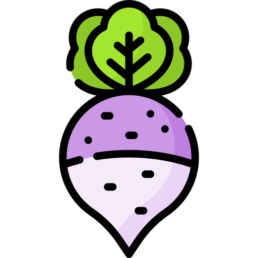 Radish Special Lineal color icon