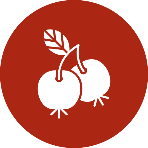 beeren Generic Mixed icon