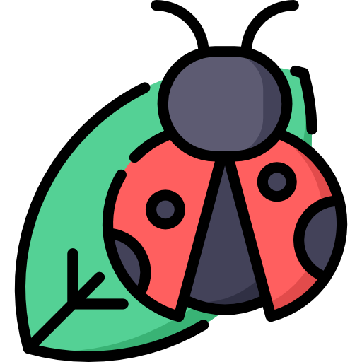 곤충 Special Lineal color icon