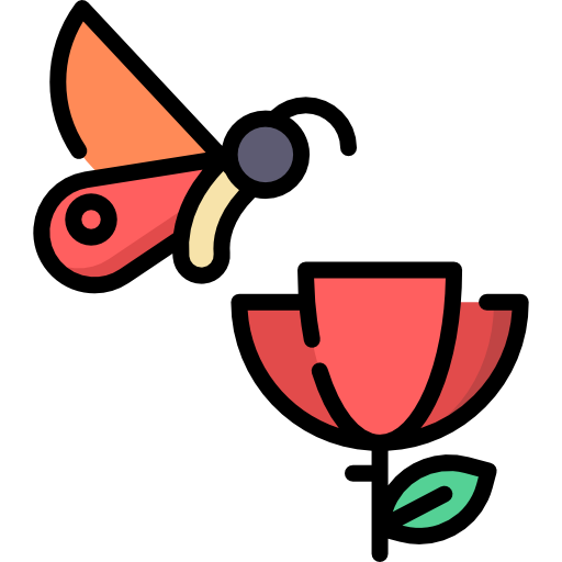 나비 Special Lineal color icon