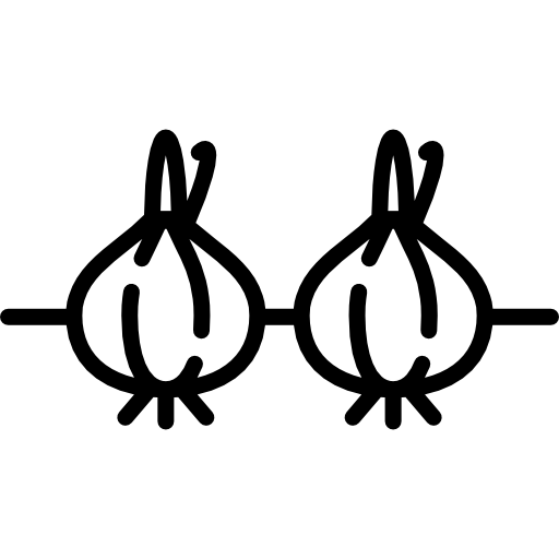 cipolla Special Lineal icona