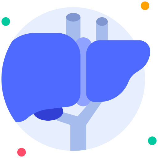 Liver Generic Rounded Shapes icon