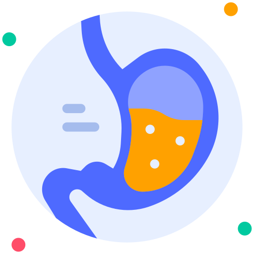 Stomach Generic Rounded Shapes icon