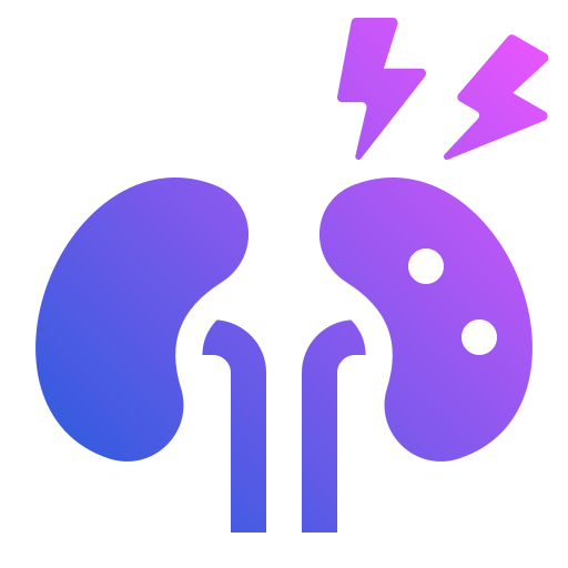 Kidneys Generic Flat Gradient icon