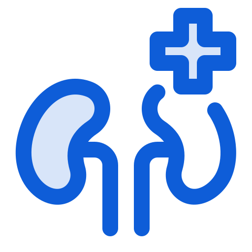 Kidneys Generic Blue icon