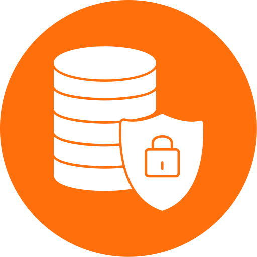 Data security Generic Mixed icon