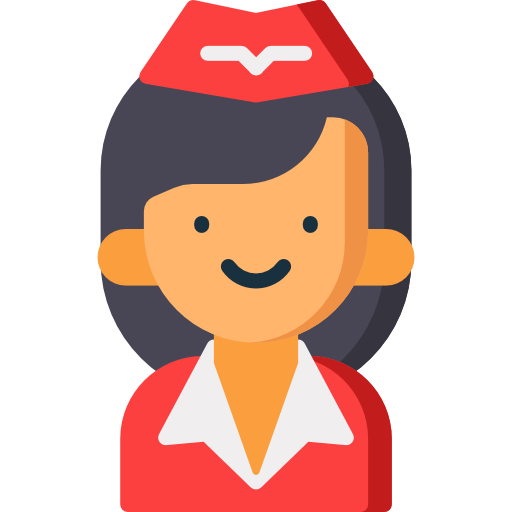 Air hostess Special Flat icon