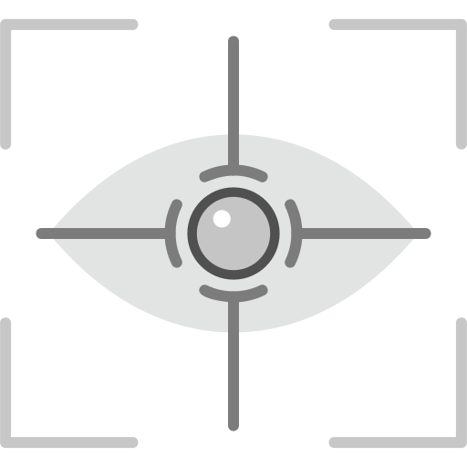 Focus Generic Grey icon