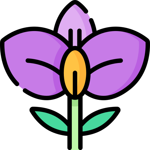 orchidée Special Lineal color Icône