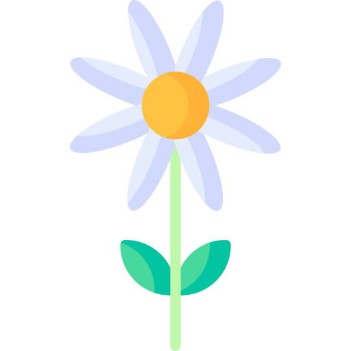 Daisy Special Flat icon