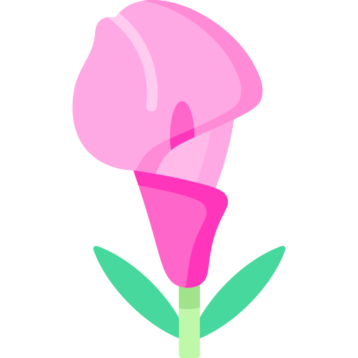 lilia Special Flat ikona