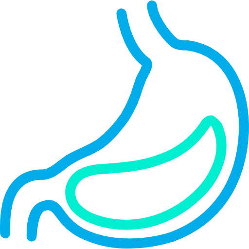 estómago Kiranshastry Lineal Blue icono