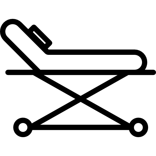 camilla Kiranshastry Lineal icono