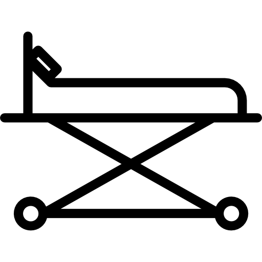 camilla Kiranshastry Lineal icono