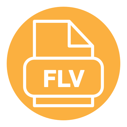 Flv Generic Flat icon