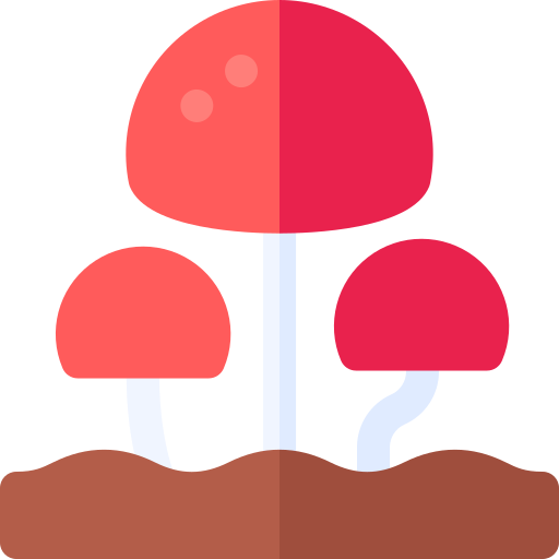 真菌 Basic Rounded Flat icon