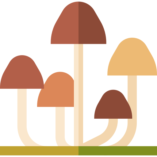 hongos Basic Straight Flat icono