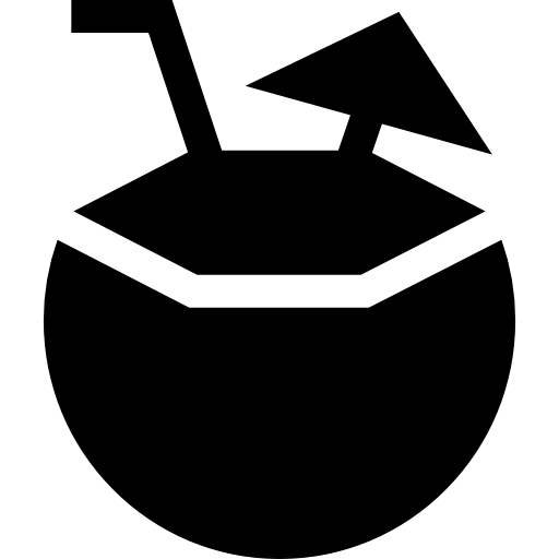 kokosnuss Basic Straight Filled icon
