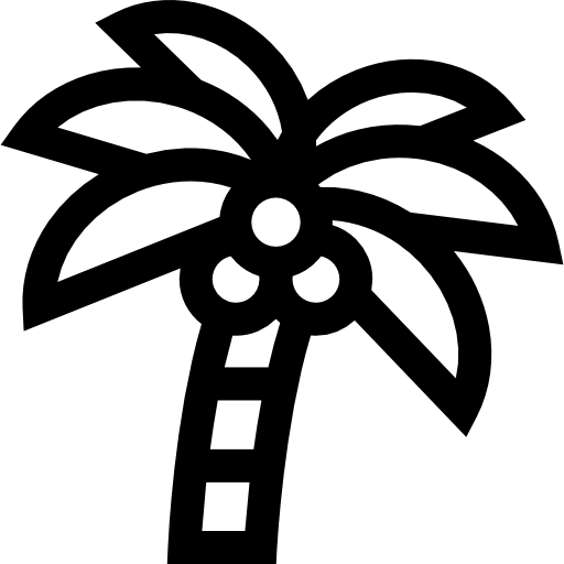 albero di cocco Basic Straight Lineal icona